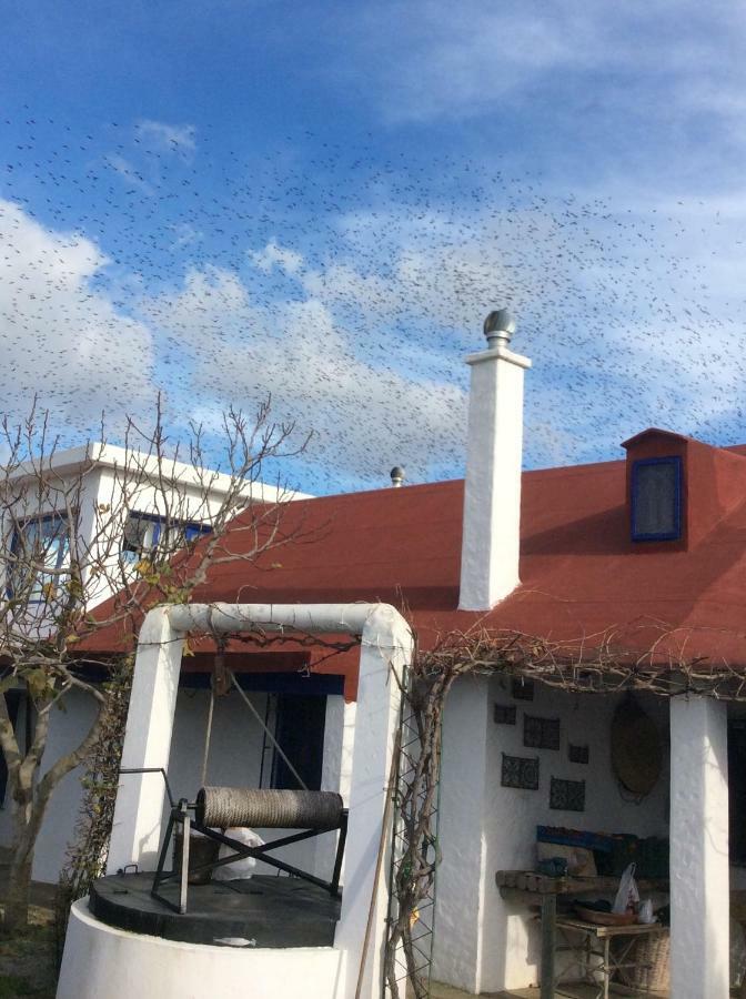 La Casa de las Higueras Dar Karmus Tetouan Bagian luar foto